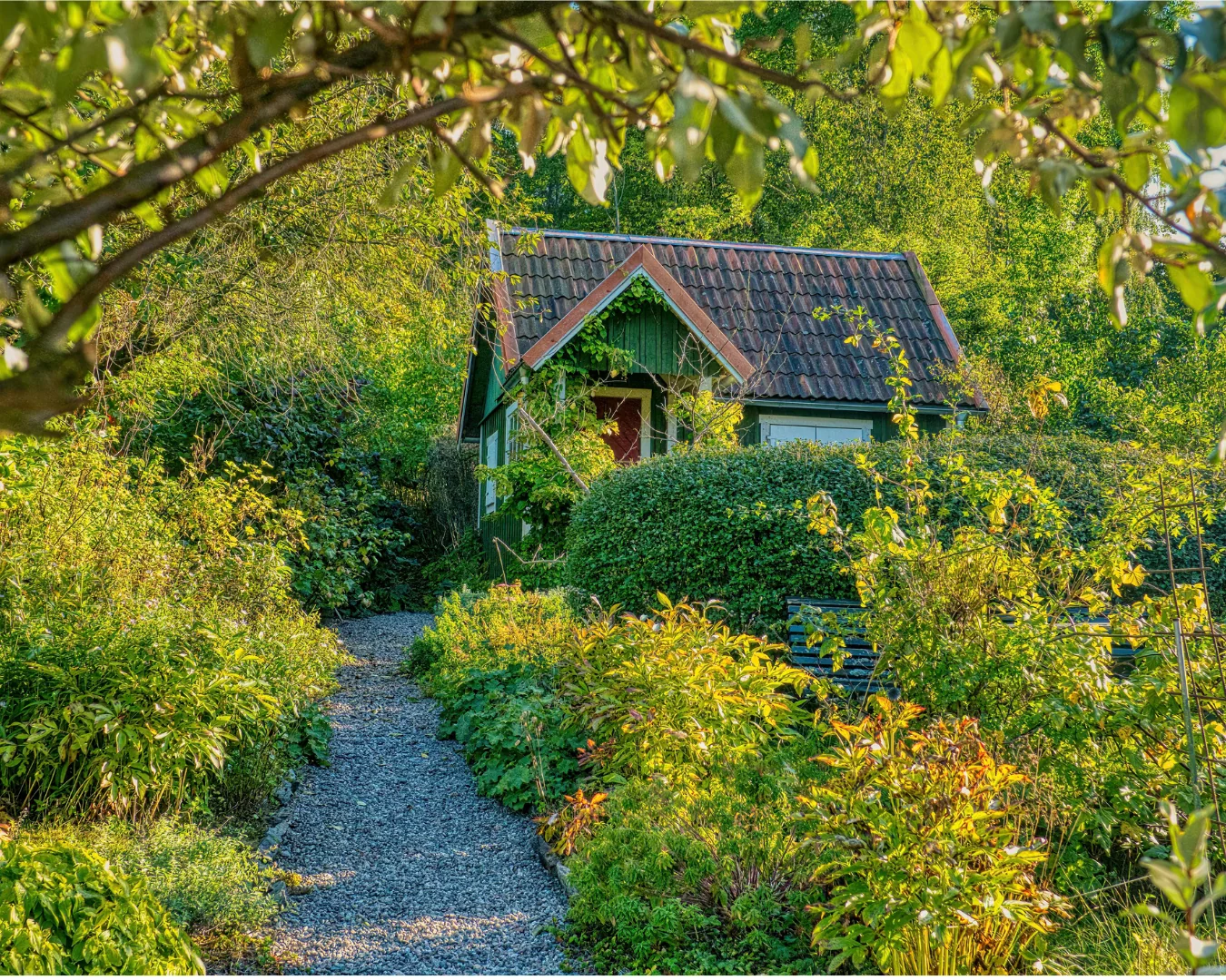 Warm home garden sunrise for a family home transition